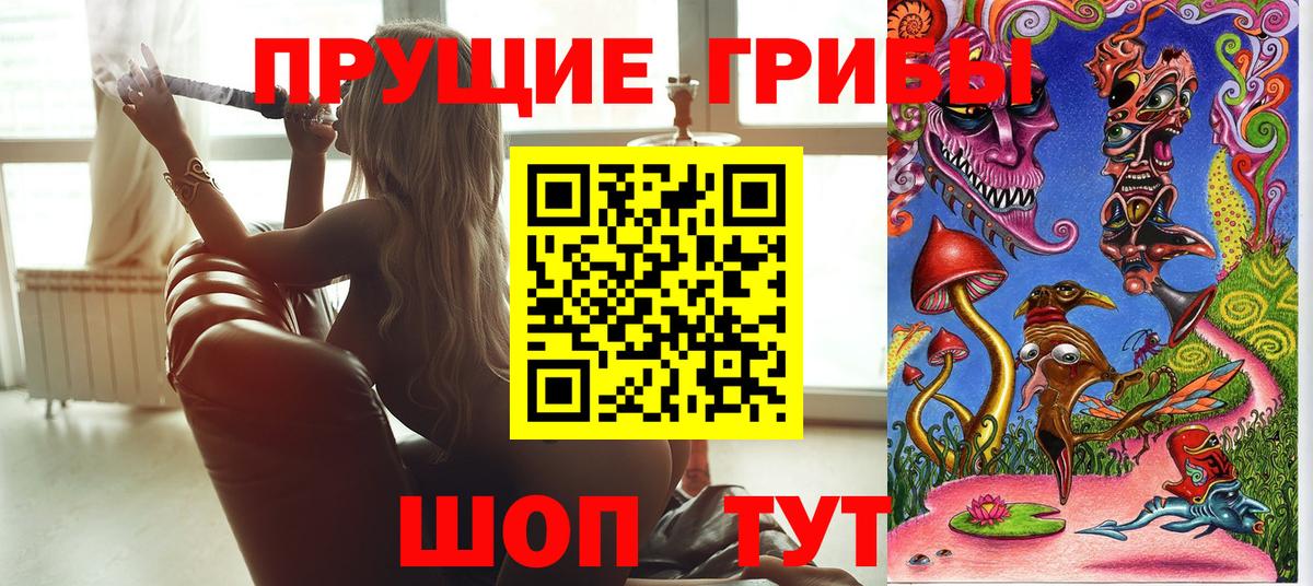 Галлюциногенные грибы Psilocybine cubensis  Вход с VPN  Сокол  Псилоцибиновые грибы Psilocybine cubensis 