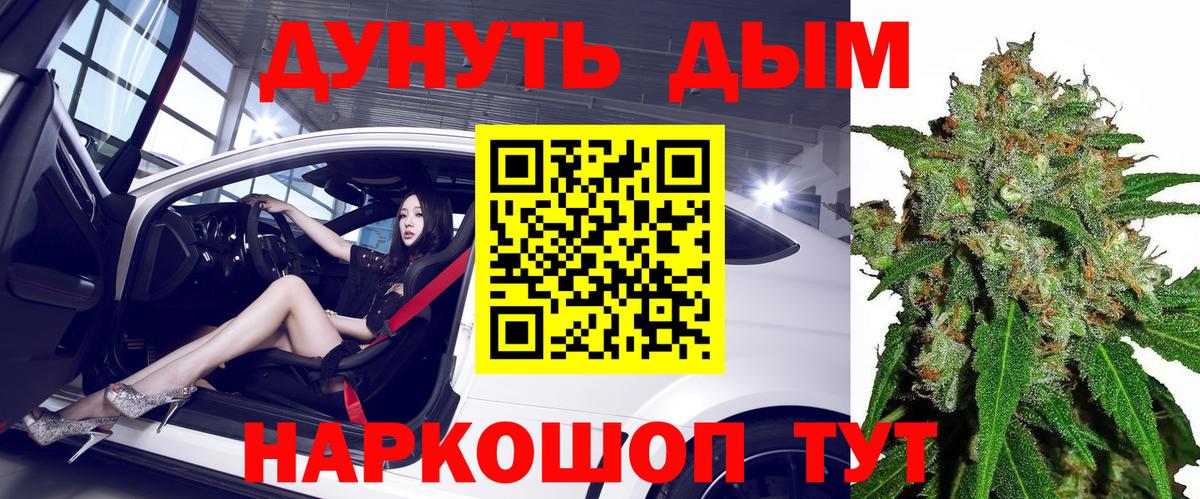 Каннабис сатива Сокол